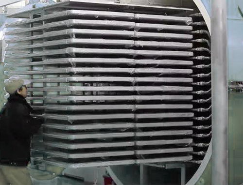 寵物食品凍干機生產(chǎn)廠家 技術(shù)革新與市場需求