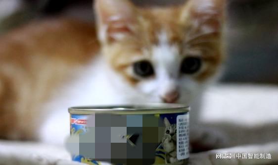 它經濟風起，國產寵物食品品牌陣營持續壯大